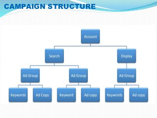 CAMPAIGN STRUCTURE 
 