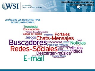 lcastelan@wsibsns.com.mx
        twitter@levcastelan
 