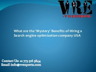 What are the ‘Mystery’ Benefits of Hiring a
Search engine optimization company USA
 