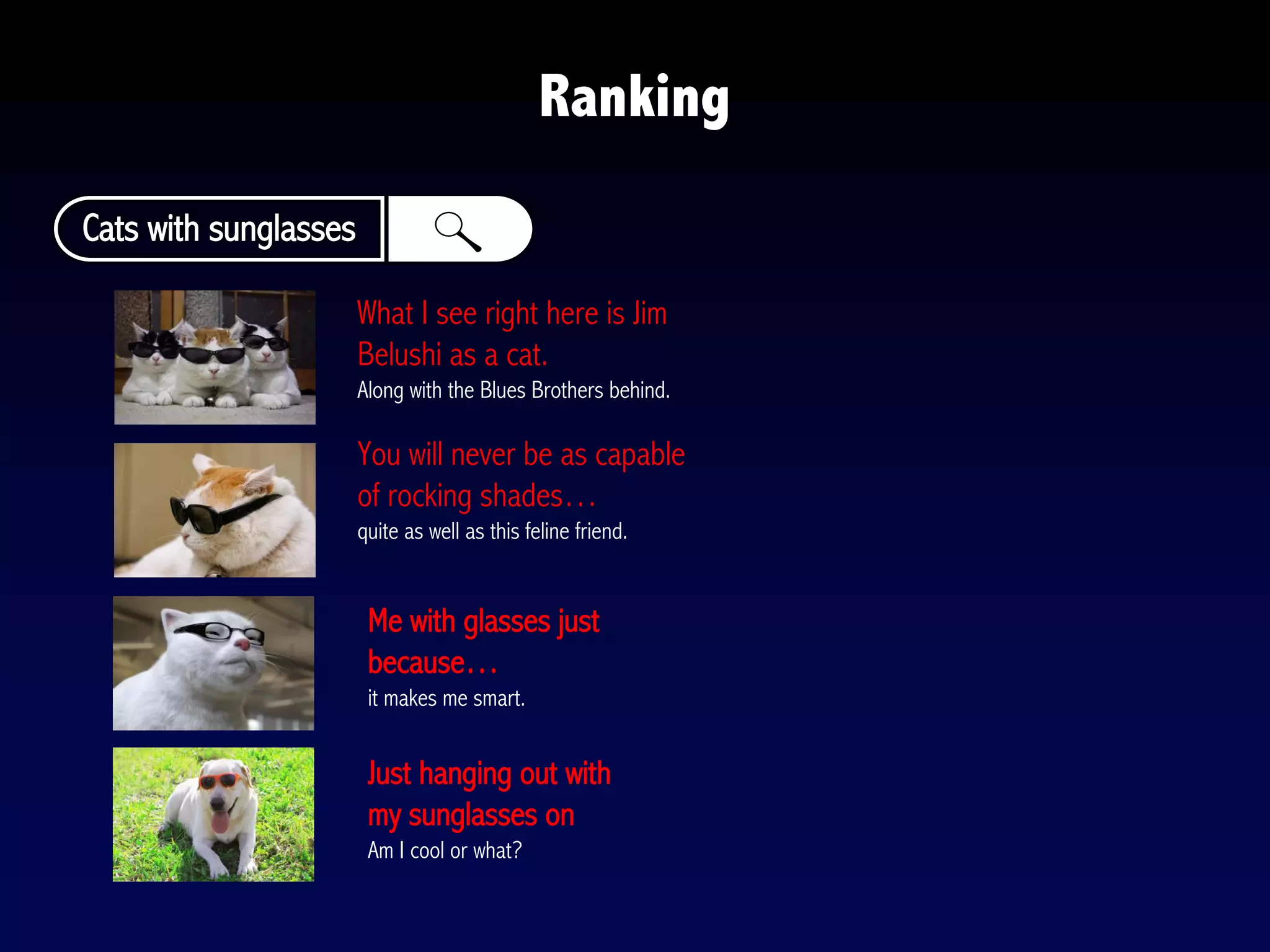 Ranking
Cats with sunglasses
Just hanging out with
my sunglasses on
Am I cool or what?
Me with glasses just
because…
it makes me smart.
What I see right here is Jim
Belushi as a cat.
Along with the Blues Brothers behind.
You will never be as capable
of rocking shades…
quite as well as this feline friend.
 