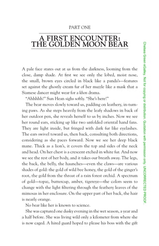 Search For the Golden Moon Bear Preview