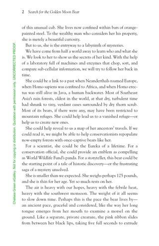 Search For the Golden Moon Bear Preview