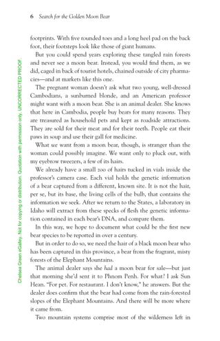 Search For the Golden Moon Bear Preview