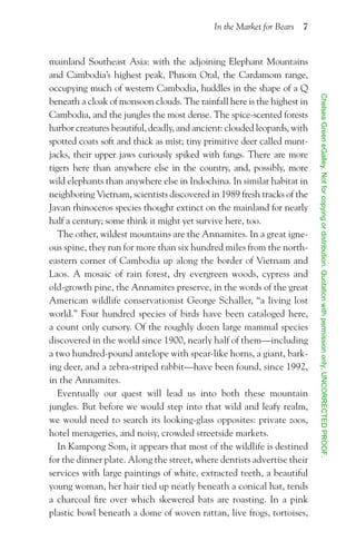 Search For the Golden Moon Bear Preview