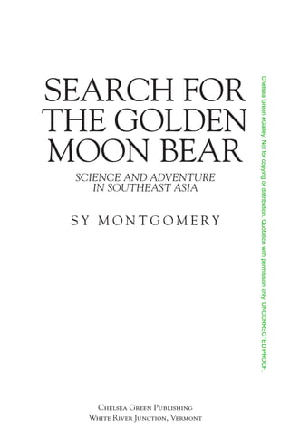Search For the Golden Moon Bear Preview