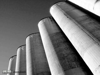 Searching for a Usable and Effective Intranet