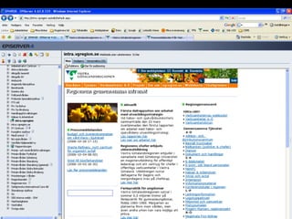Searching for a Usable and Effective Intranet