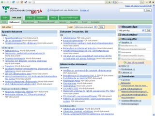 Searching for a Usable and Effective Intranet