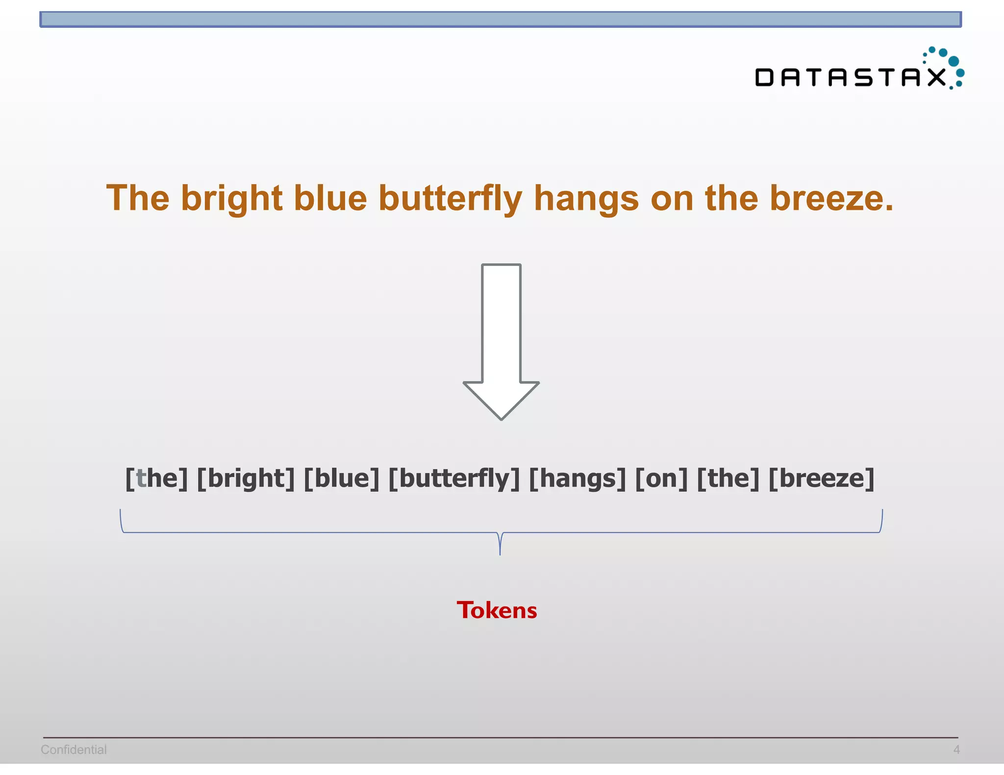 Confidential 4
The bright blue butterfly hangs on the breeze.
[the] [bright] [blue] [butterfly] [hangs] [on] [the] [breeze]
Tokens
 