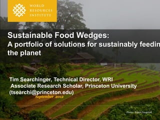 Sustainable Food Wedges:
A portfolio of solutions for sustainably feedin
the planet


Tim Searchinger, Technical Director, WRI
 Associate Research Scholar, Princeton University
(tsearchi@princeton.edu)
          September 2012



                                             Photo: Espen Faugstad
 