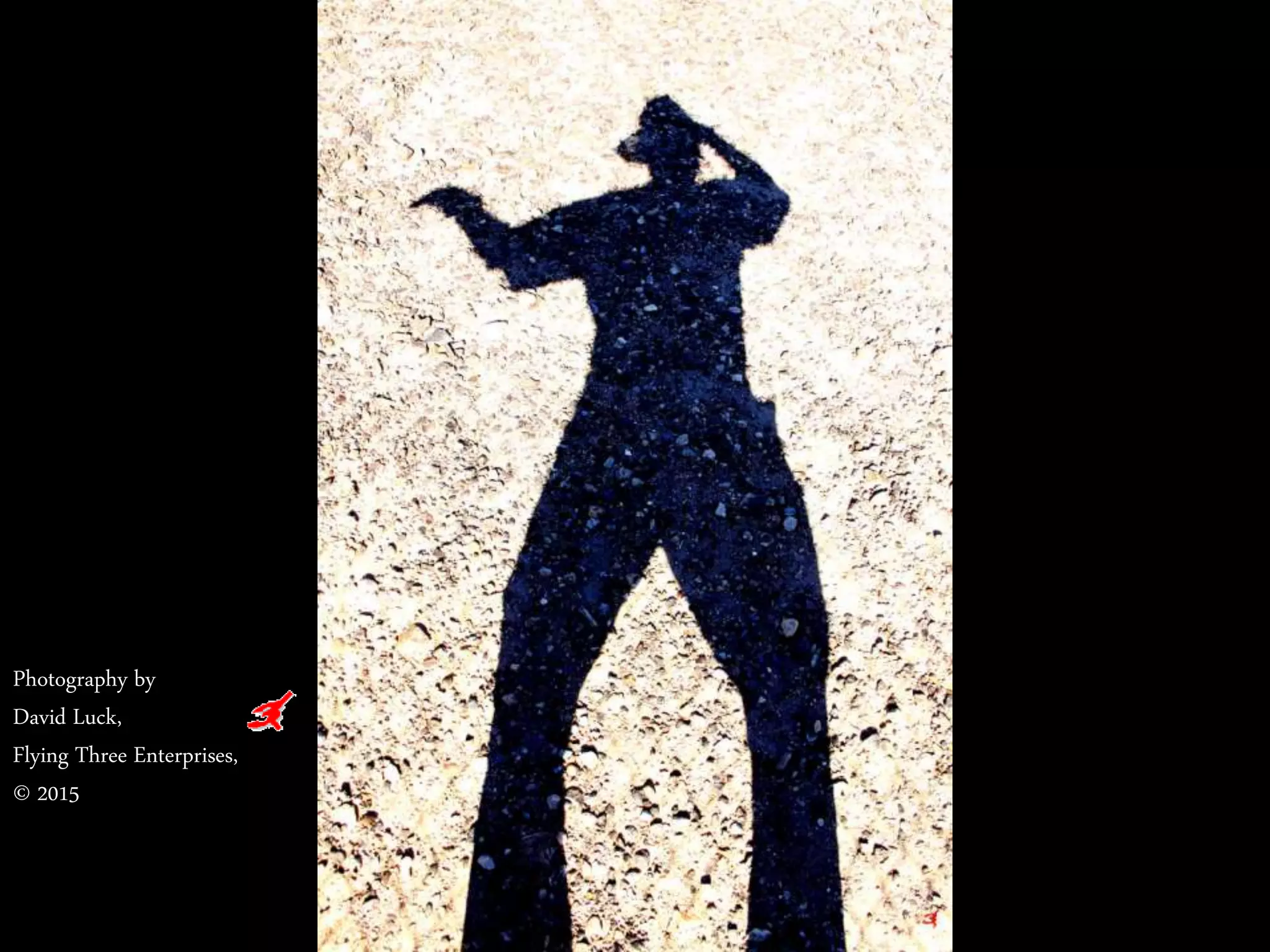 Photography by
David Luck,
Flying Three Enterprises,
© 2015