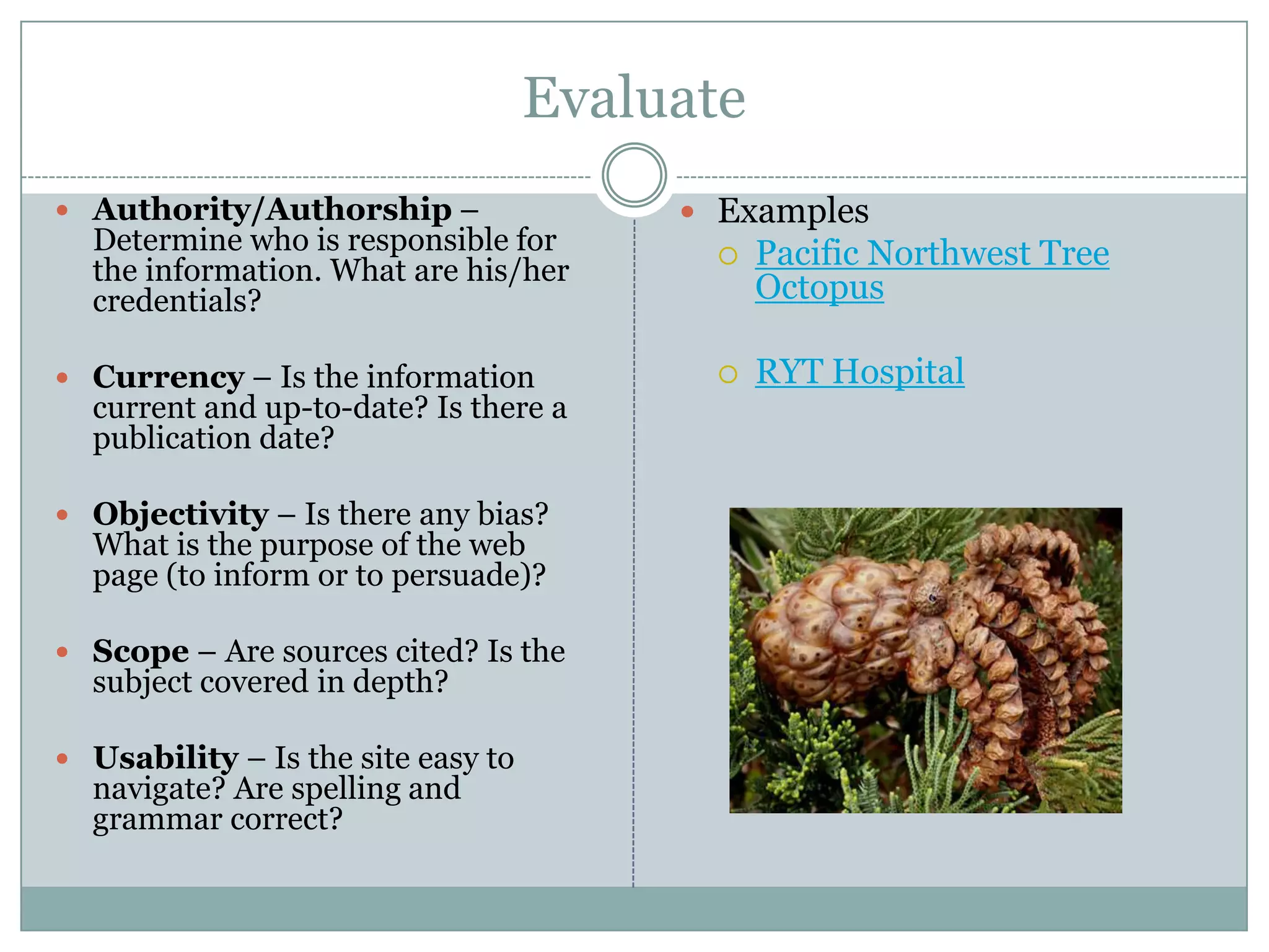 EvaluateAuthority/Authorship – Determine who is responsible for the information. What are his/her credentials?Currency – Is the information current and up-to-date? Is there a publication date?Objectivity – Is there any bias? What is the purpose of the web page (to inform or to persuade)? Scope – Are sources cited? Is the subject covered in depth?Usability – Is the site easy to navigate? Are spelling and grammar correct?ExamplesPacific Northwest Tree OctopusRYT Hospital 