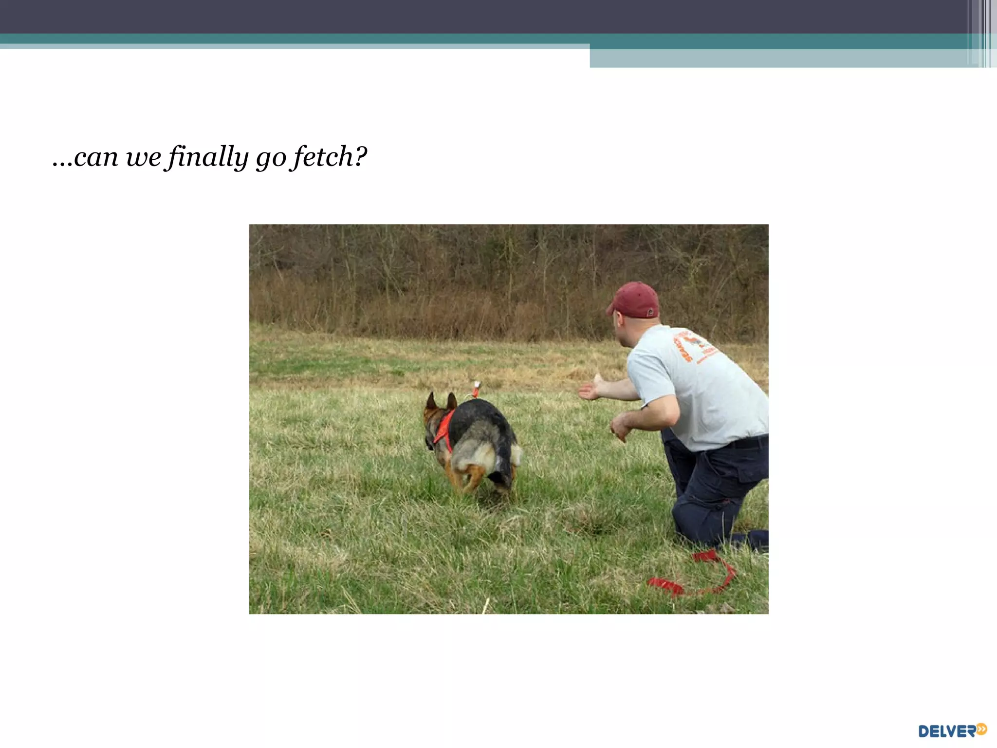 … can we finally go fetch? 