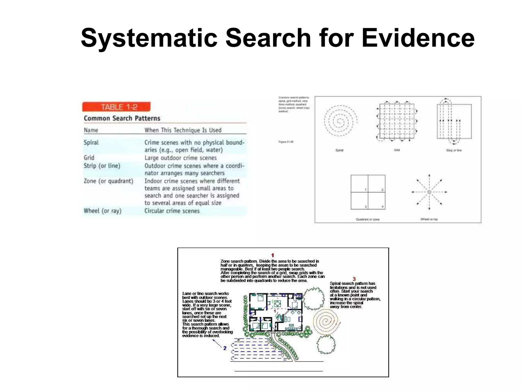Search pattern | PPT