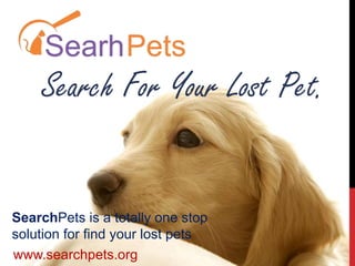 Search For Your Lost Pet.
SearchPets is a totally one stop
solution for find your lost pets
www.searchpets.org
 