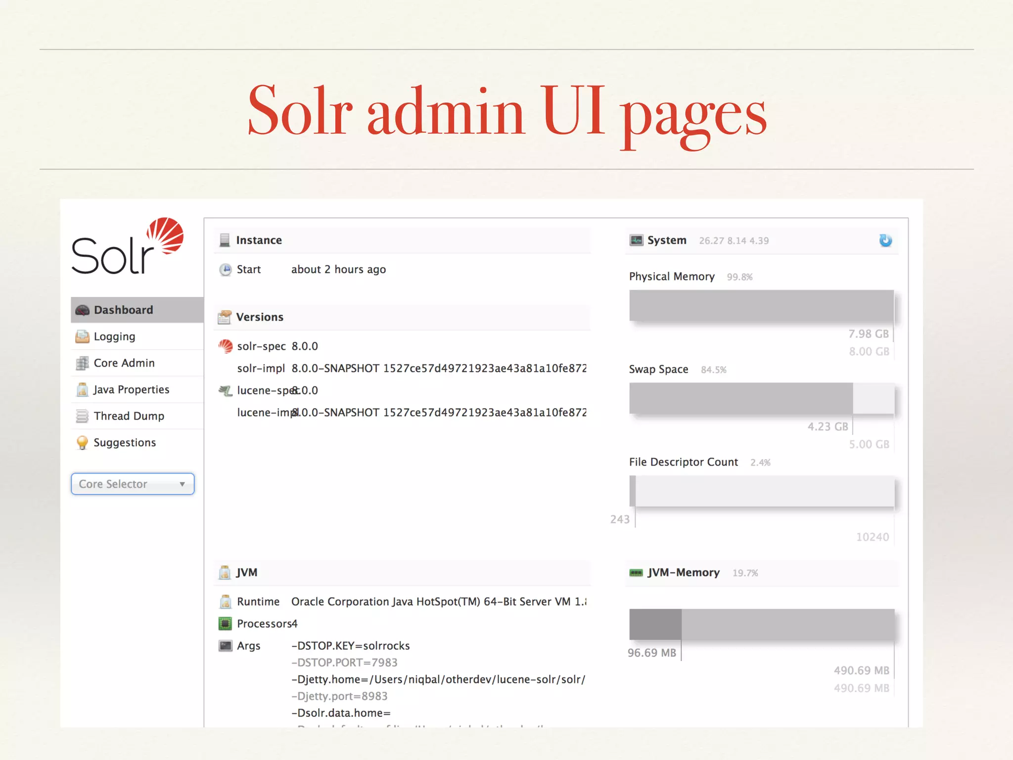 Solr admin UI pages
 