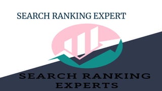 SEARCH RANKING EXPERT
 