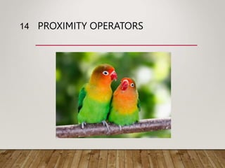 PROXIMITY OPERATORS
14
 