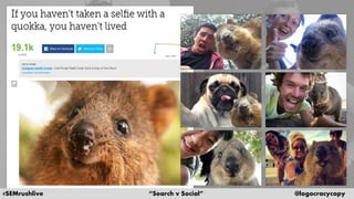 #SEMrushlive “Search v Social” @logocracycopy