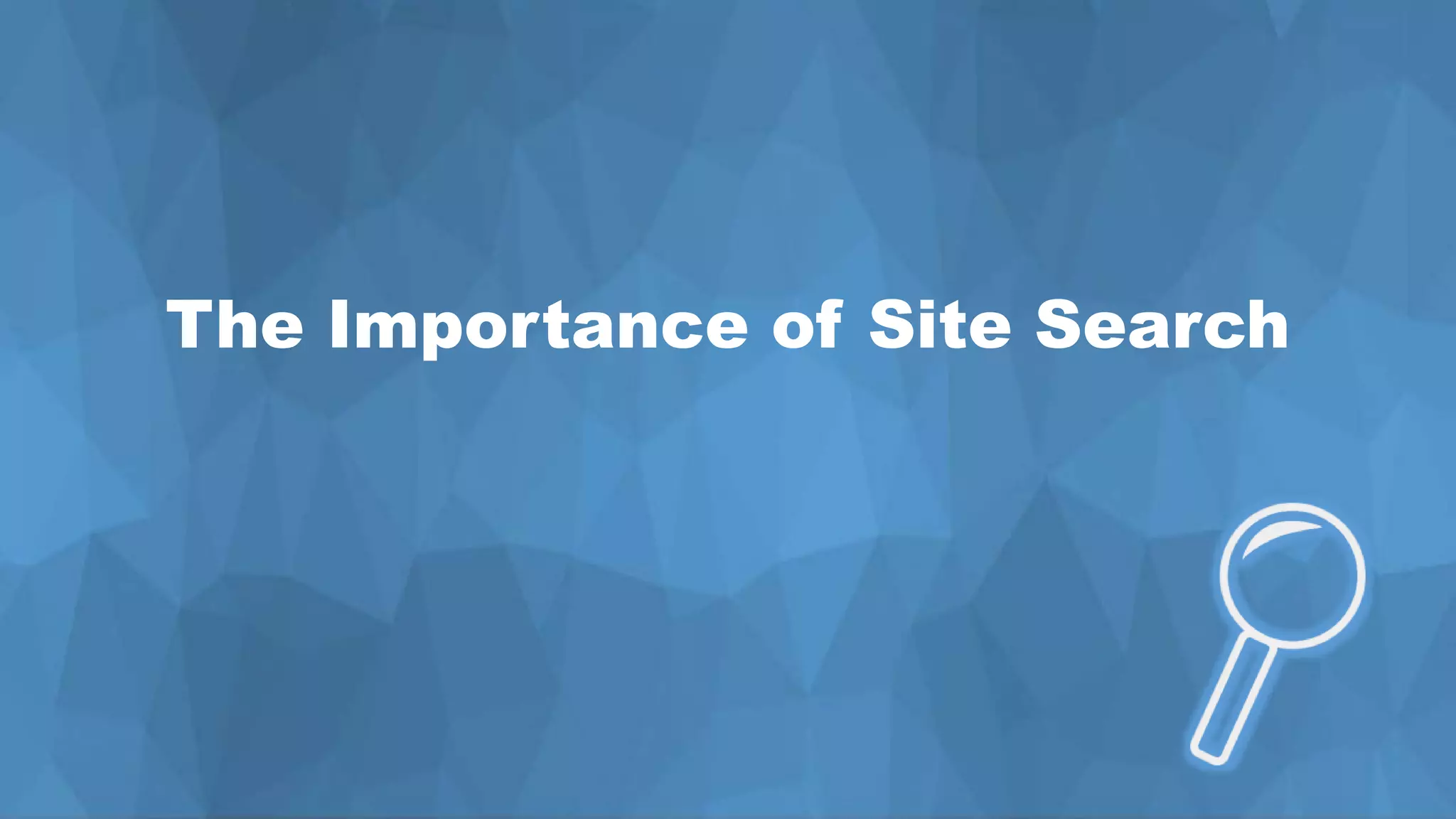 Project Definition Process
DescriptionThe Importance of Site Search
 