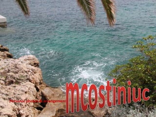 Personal photos & arrangement
 