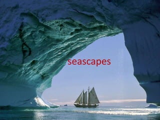 seascapes
 