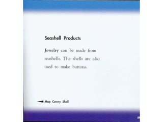 Seashells book