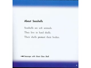 Seashells book