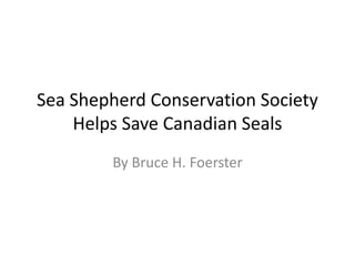 Sea Shepherd Conservation Society
    Helps Save Canadian Seals
        By Bruce H. Foerster
 