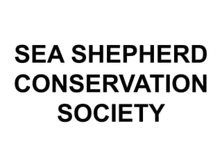 SEA SHEPHERD
CONSERVATION
   SOCIETY
 
