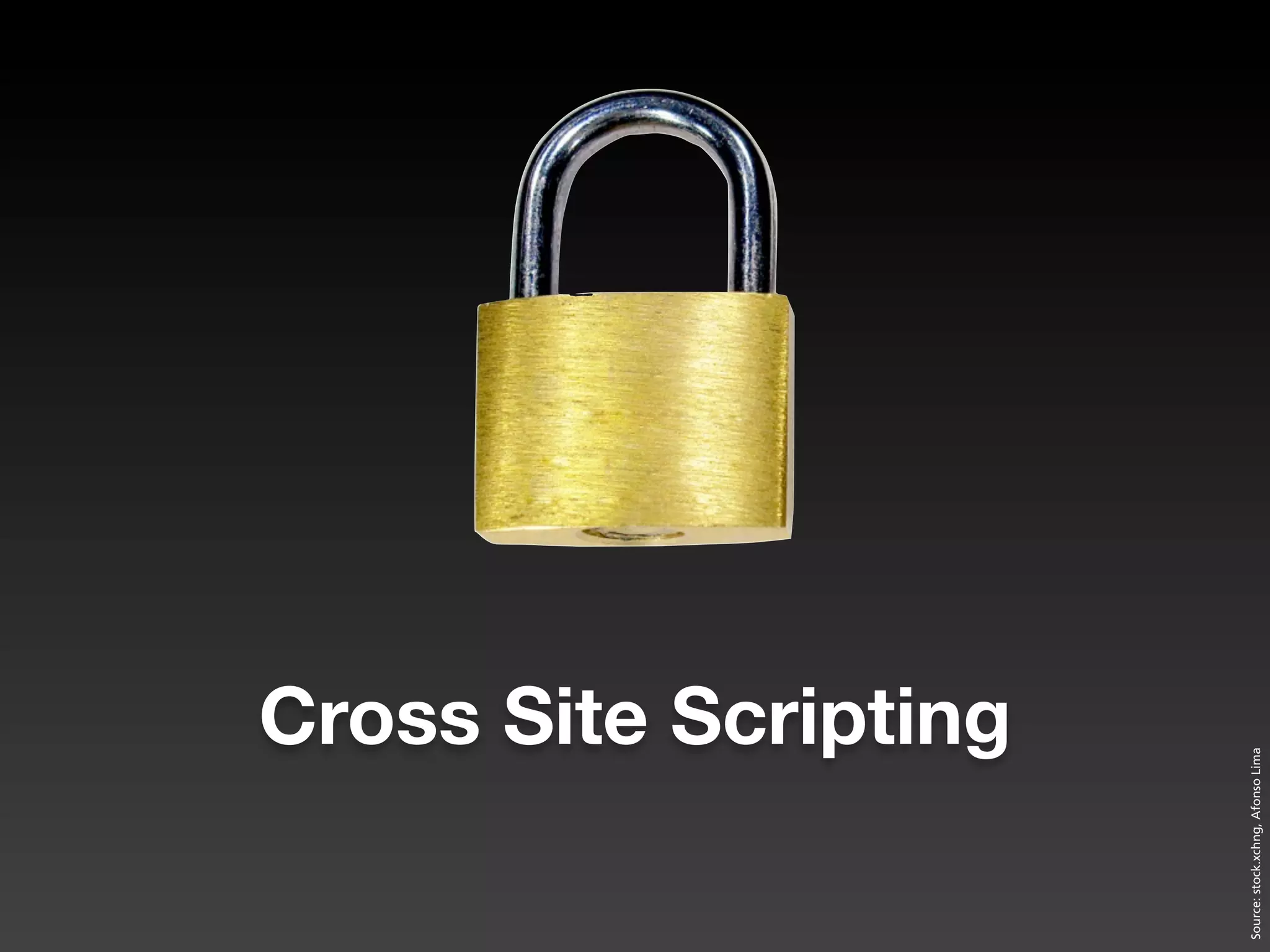 Cross Site Scripting




Source: stock.xchng, Afonso Lima
 