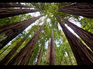 Peru’s University of Engineering and Technology:
Billboard produces 830 gallons per month
Source: Yahoo News
 