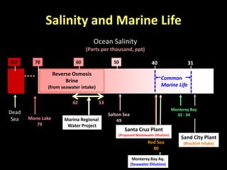 Monterey Bay Aq.
(Seawater Dilution)
Red Sea
40
Salinity and Marine Life
31405070 60
Ocean Salinity
(Parts per thousand, ppt)
Common
Marine Life
Dead
Sea
337
Salton Sea
49Mono Lake
79
Reverse Osmosis
Brine
(from seawater intake)
Marina Regional
Water Project
62 53
Sand City Plant
(Brackish Intake)
Monterey Bay
32 - 34
Santa Cruz Plant
(Proposed Wastewater Dilution)
 
