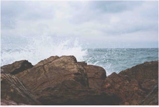 Seasides 10.jpg
Soma Peruzzo Endless Learning
 