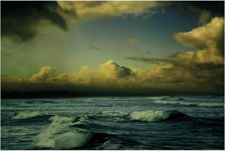 Seasides 13.jpg
Soma Peruzzo Endless Learning
 