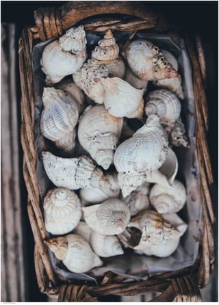 Seasides 14.jpg
Soma Peruzzo Endless Learning
 