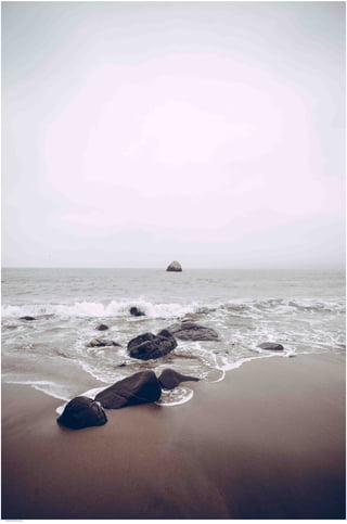 Seasides 20.jpg
Soma Peruzzo Endless Learning
 