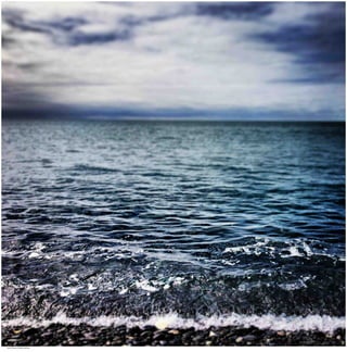 Seasides 24.jpg
Soma Peruzzo Endless Learning
 