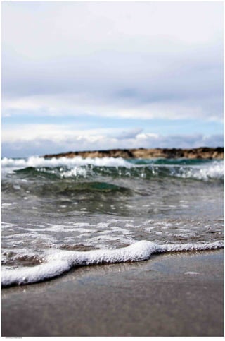 Seasides 06.jpg
Soma Peruzzo Endless Learning
 