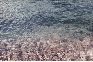 Seasides 07.jpg
Soma Peruzzo Endless Learning
 