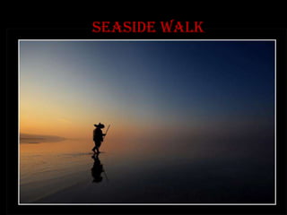 seaside walk
 