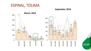 Seasonal climate forecasts in colombia 