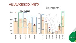 Seasonal climate forecasts in colombia 
