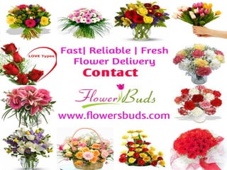 Seasonal florists in hyderabad