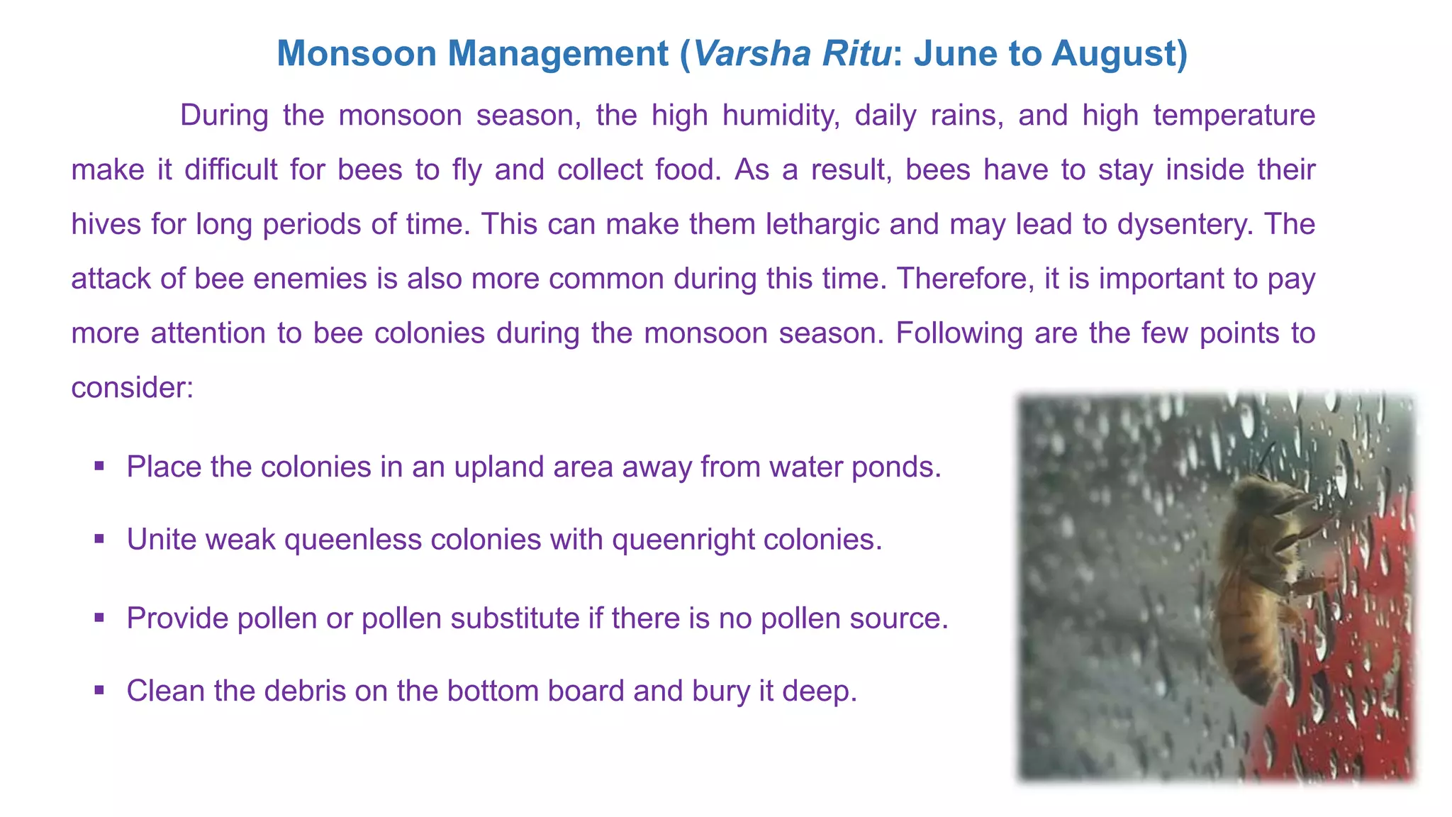 Seasonal Management of Bee.pptx