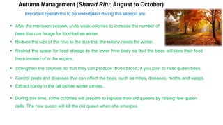Seasonal Management of Bee.pptx