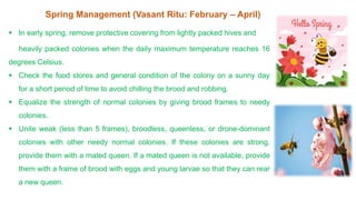 Seasonal Management of Bee.pptx