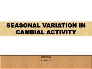 SEASONAL VARIATION IN
CAMBIAL ACTIVITY
ALEN SHAJI
P1914015
 