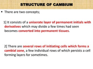 STRUCTURE OF CAMBIUM
 There are two concepts;
1] It consists of a uniserate layer of permanent initials with
derivatives which may divide a few times had seen
becomes converted into permanent tissues.
2] There are several rows of initiating cells which forms a
cambial zone, a few individual rows of which persists a cell
forming layers for sometimes.
 