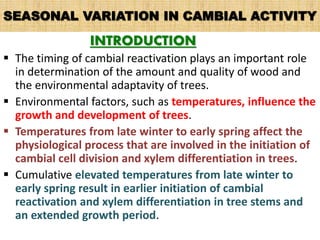 SEASONAL VARIATION IN CAMBIAL ACTIVITY
INTRODUCTION
 The timing of cambial reactivation plays an important role
in determination of the amount and quality of wood and
the environmental adaptavity of trees.
 Environmental factors, such as temperatures, influence the
growth and development of trees.
 Temperatures from late winter to early spring affect the
physiological process that are involved in the initiation of
cambial cell division and xylem differentiation in trees.
 Cumulative elevated temperatures from late winter to
early spring result in earlier initiation of cambial
reactivation and xylem differentiation in tree stems and
an extended growth period.
 
